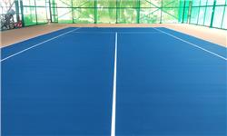 Sơn Sàn Sân Pickleball Trong Nhà Nên Chọn Dòng Nào?