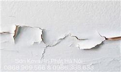 Quy trình khắc phục tình trạng sơn bị bong tróc, phồng rộp hoặc ẩm mốc.