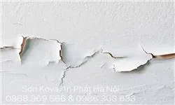 Quy trình khắc phục tình trạng sơn bị bong tróc, phồng rộp hoặc ẩm mốc.