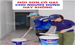 Mùi sơn có gây hại cho sức khoẻ không? Câu trả lời là: Có!