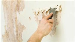 Tường quét vôi, xử lý đúng thì sơn mới bền.